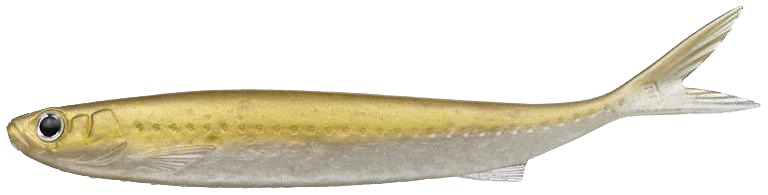 #155 - ARMAND GOLD