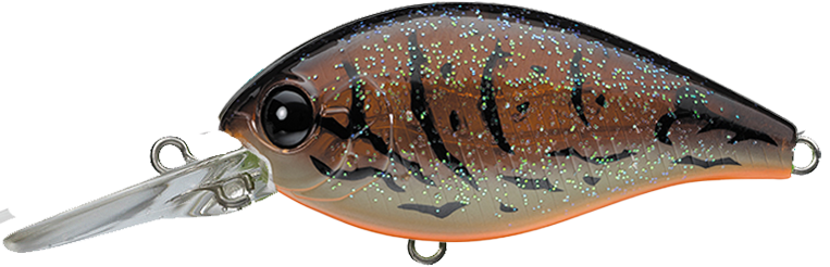 #456 - NORTHERN CRAWDAD