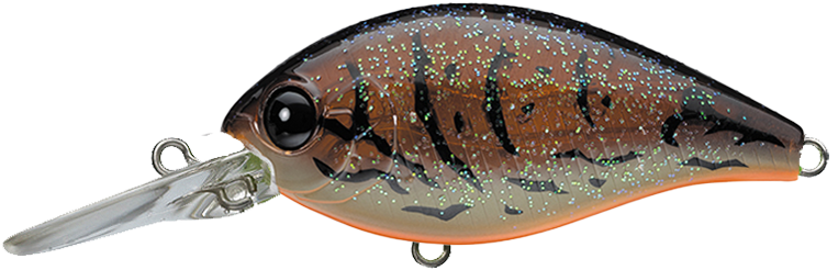 #456 - NORTHERN CRAWDAD