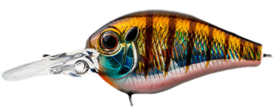 #50 - BABY GILL
