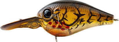 #81 - BLEEDING BROWN CRAW