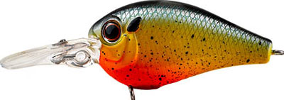 #381 - BLEEDING SUNFISH