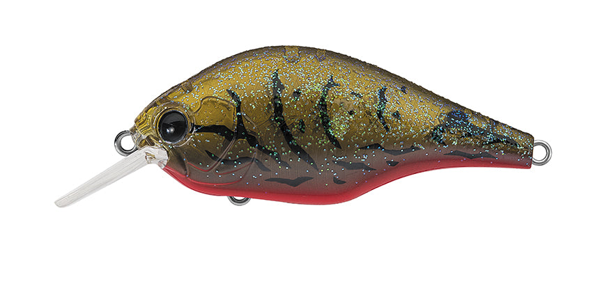216 - Olive Crawdad