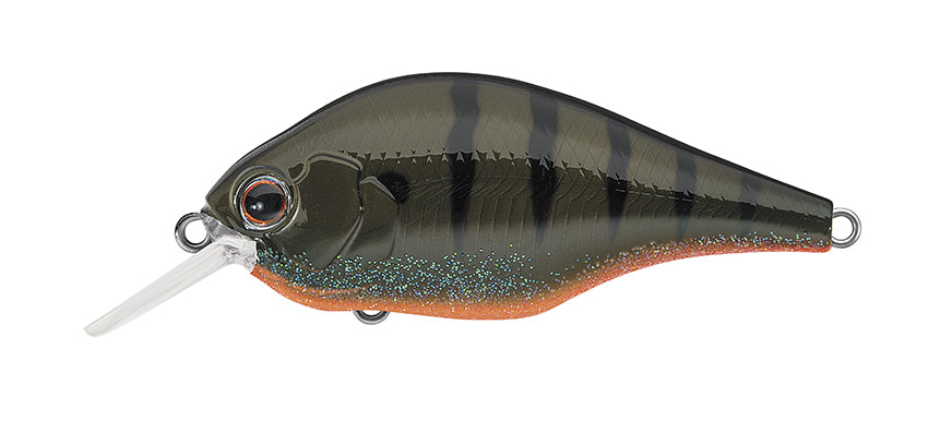 284 - Green Pumpkin Gill