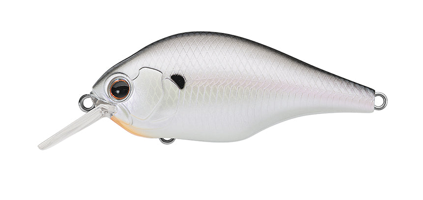 362 - Cold Shad