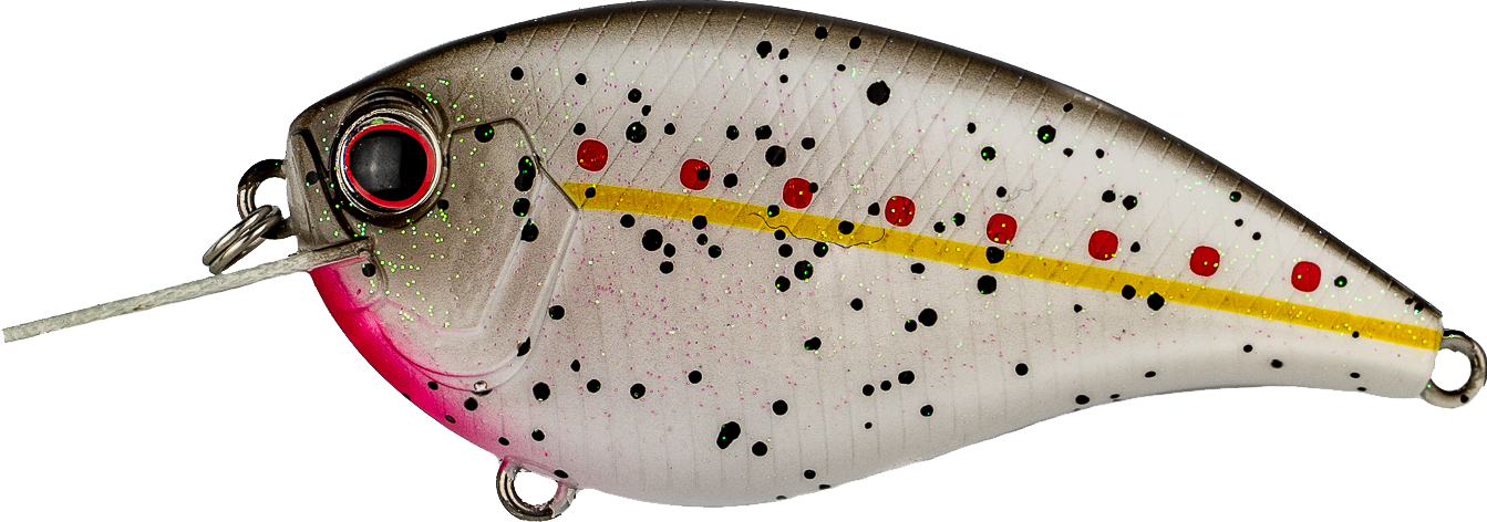 #272 - KING SHAD