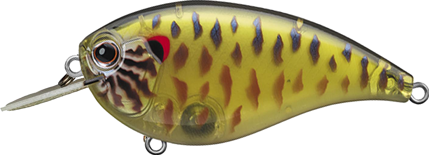 #286 - SKELETON PUMPKINSEED