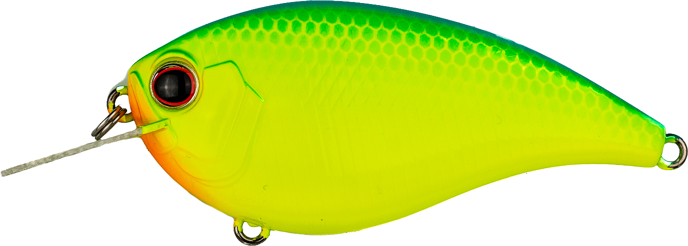 #28 - BLUE BACK CHART