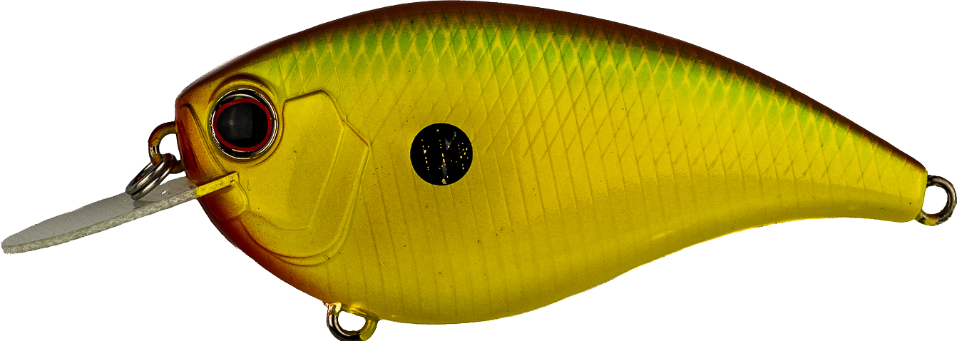 #361 - CITRUS SHAD