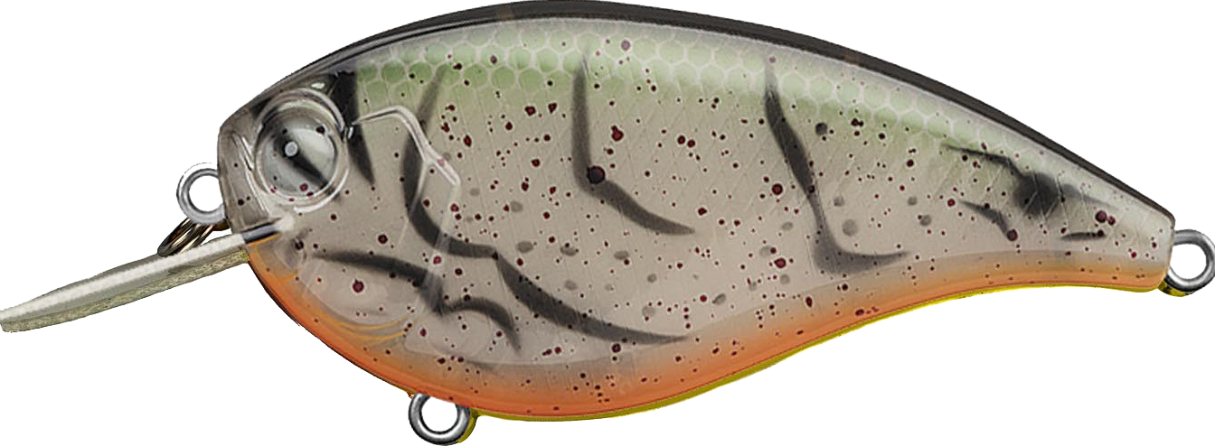 #363 - ALBINO CRAW