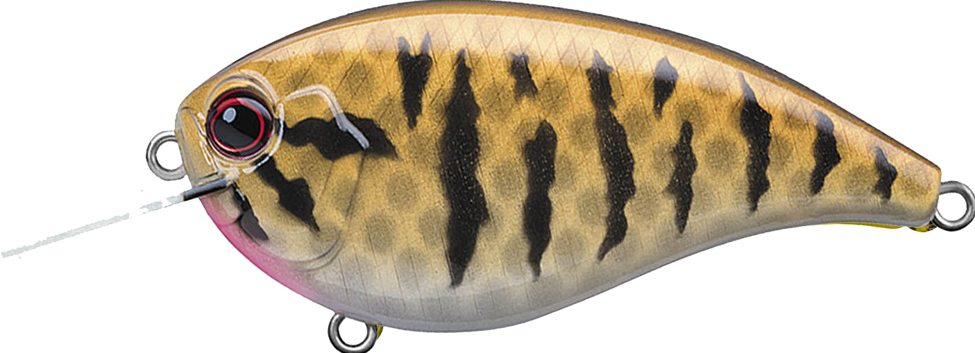 #392 - SMALLMOUTH BASS