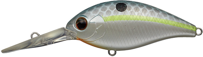 #289 - QUEEN SHAD