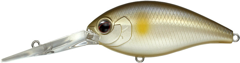 #27 - AYU