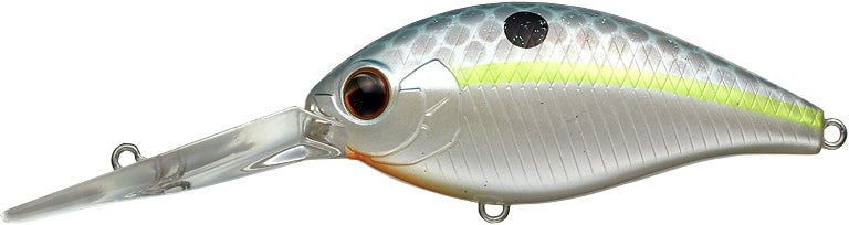 #289 - QUEEN SHAD