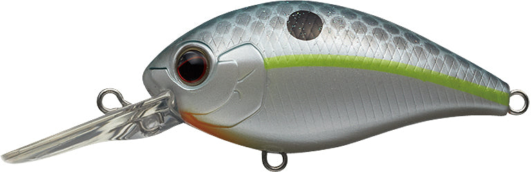 #289 - QUEEN SHAD