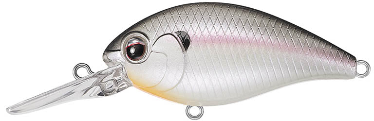 #362 - COLD SHAD
