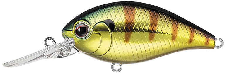 #374 - OKI GOLD