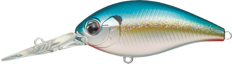 #257 - DAMONDE SHAD