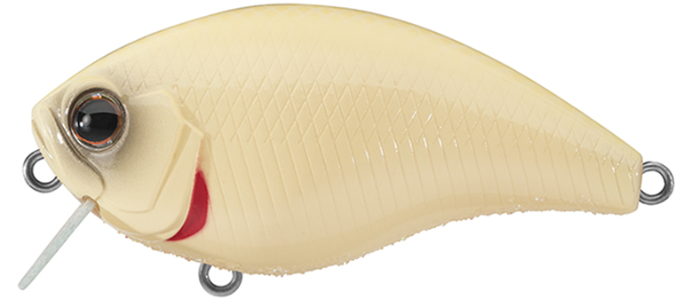 NEW - 260 - Bone