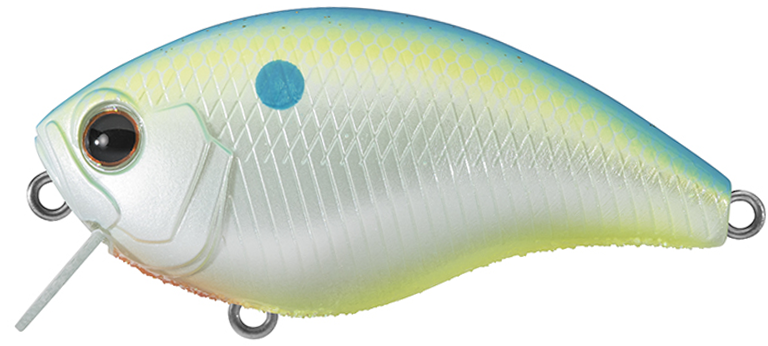 NEW - 271 - Champion Shad