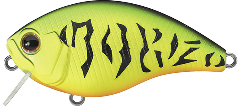 NEW - 46 - Matte Tiger