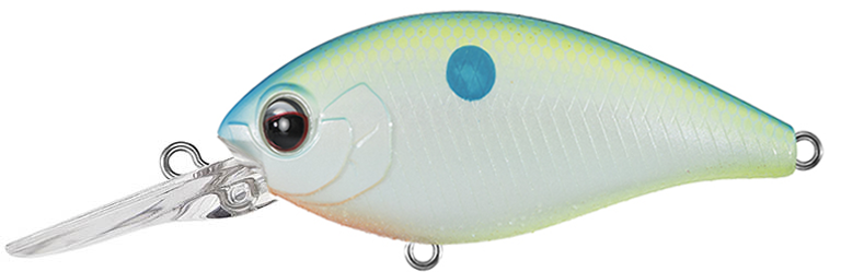 NEW - 271 - CHAMPION SHAD