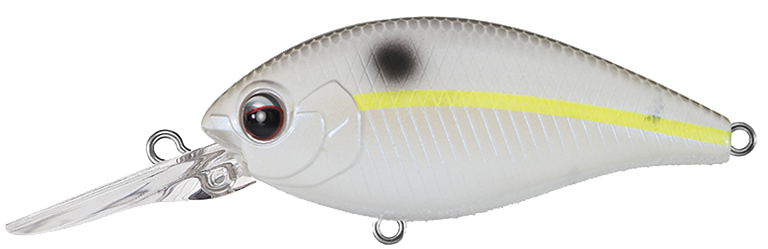 NEW - 380 - CHART SHAD