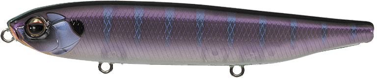 NEW - 277 - MAGIC GILL