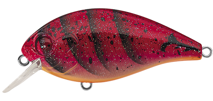 NEW - 223 - SPEED CRAW