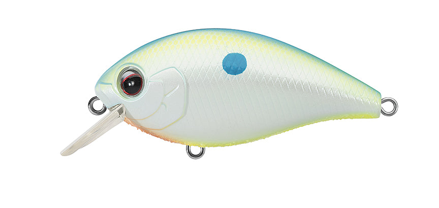 NEW - 271 - CHAMPION SHAD