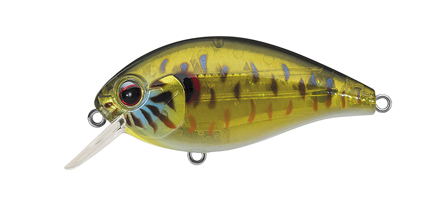 NEW - 286 - SKELETON PUMPKINSEED