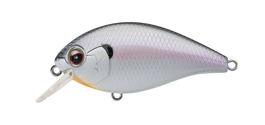 NEW - 362 - COLD SHAD
