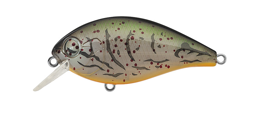 NEW - 363 - ALBINO CRAW