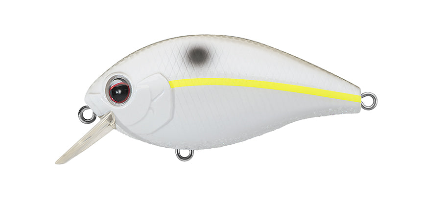 NEW - 380 - CHART SHAD
