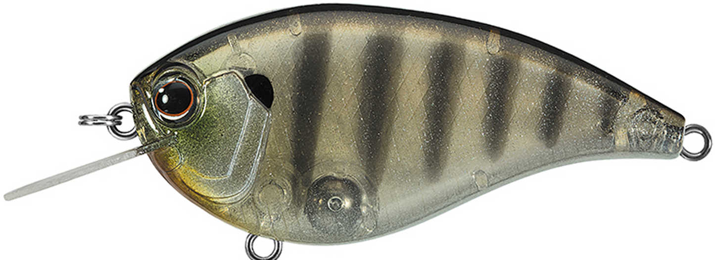 NEW - 246 - Baby Ghost Gill