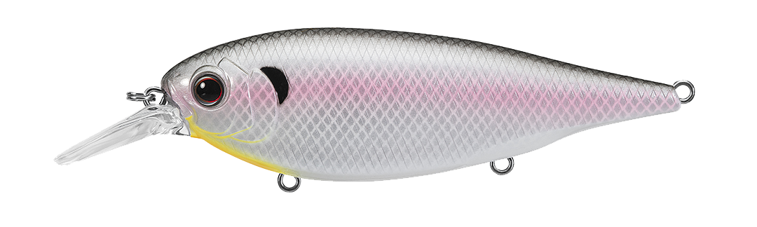 362-COLD SHAD