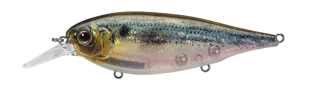 423-GHOST THREADFIN SHAD