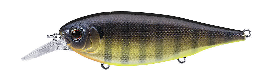 424-BLUEGILL CHART BELLY