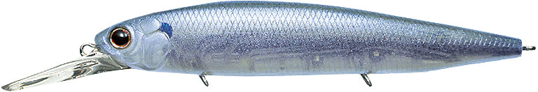 #274 - STRIPED SHAD