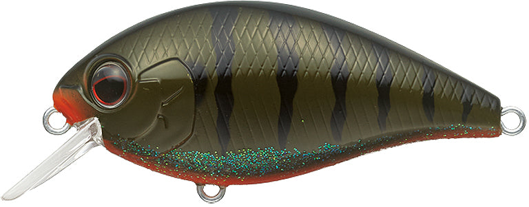 #284 - GREEN PUMPKIN GILL