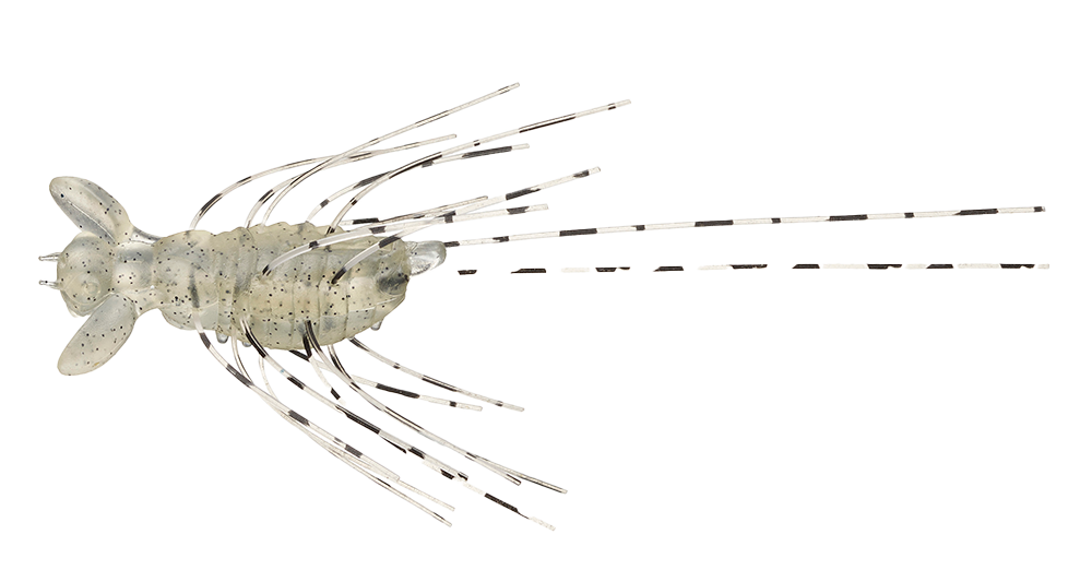 #38 - MOEBI SHRIMP