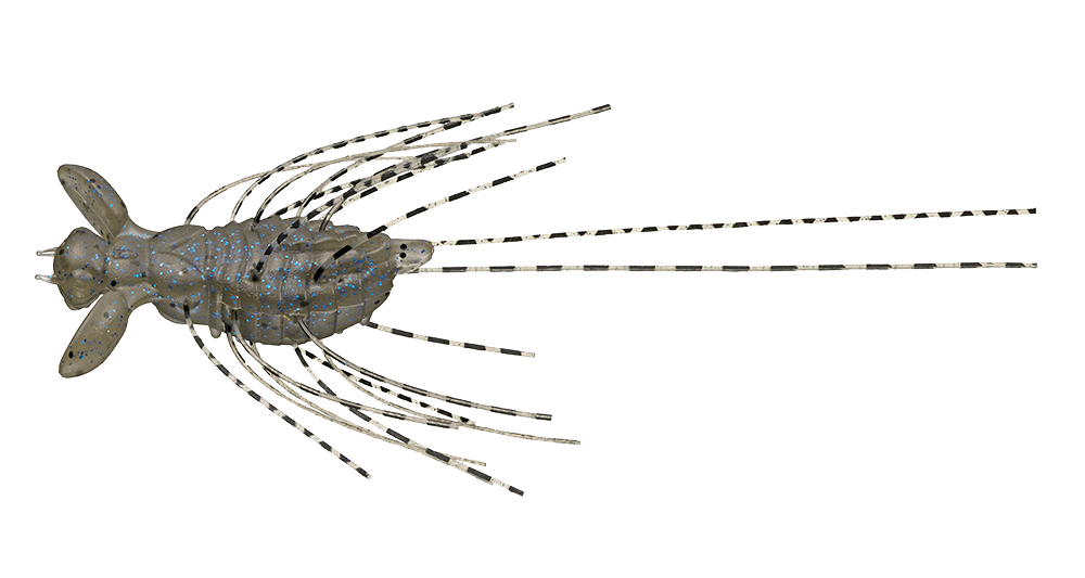 #73 - FRESHWATER SHRIMP