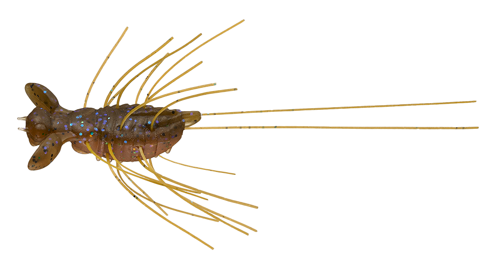 #171 - ANBER SHRIMP