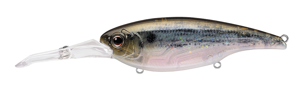 #423 - GHOST THREADFIN SHAD