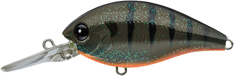 CR-8 – Evergreen Baits