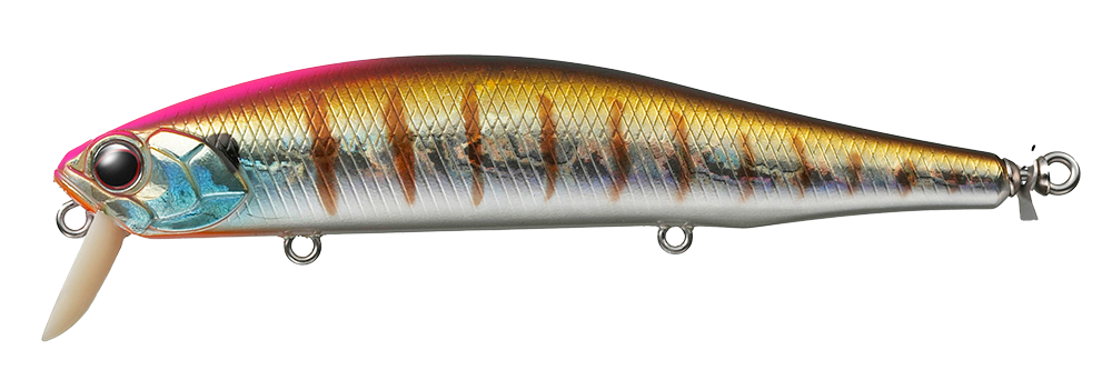 #50 - BABY GILL N