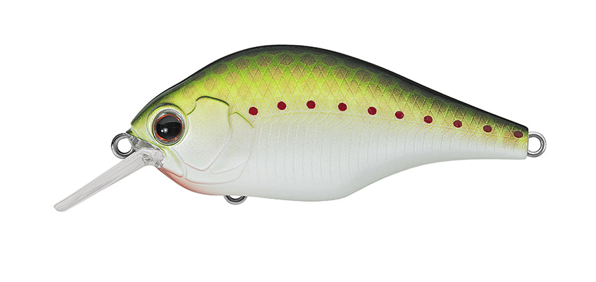 373 - Olive Copper Shad