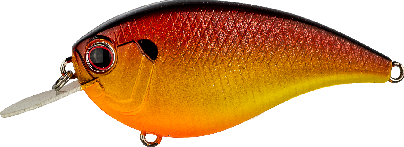 #364 - PAN FISH