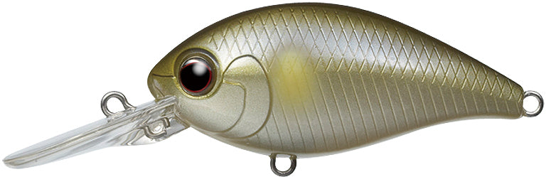 CR-8 – Evergreen Baits